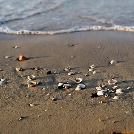 Apartman Enjoy In Our Serene Flat *