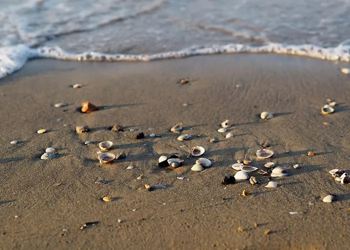 アパート Enjoy In Our Serene Flat *